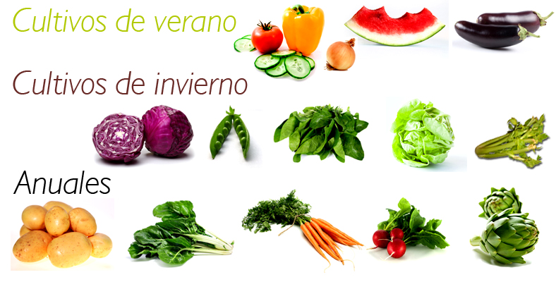 la ecocesta de cultivos ecolgicos