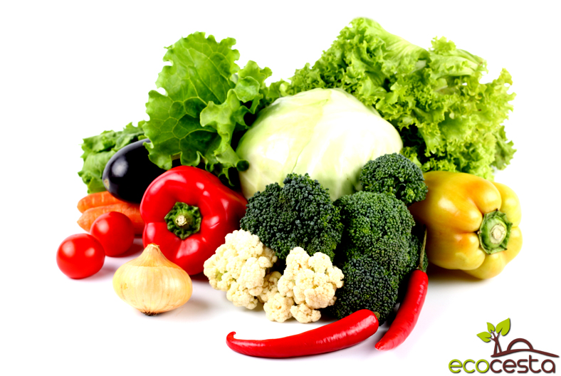 cesta ecolgica, ecocesta